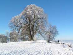 Hochschwab in Österreich