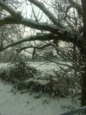 Schneehöhe Österreich