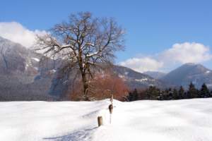 Wintersaison Ischgl für große und kleine Besucher